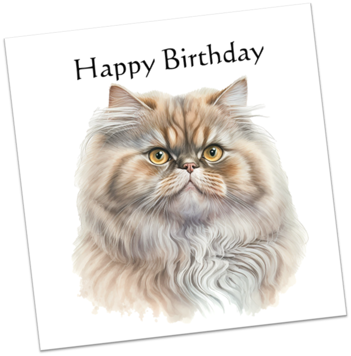 Birthday Cat E-P12