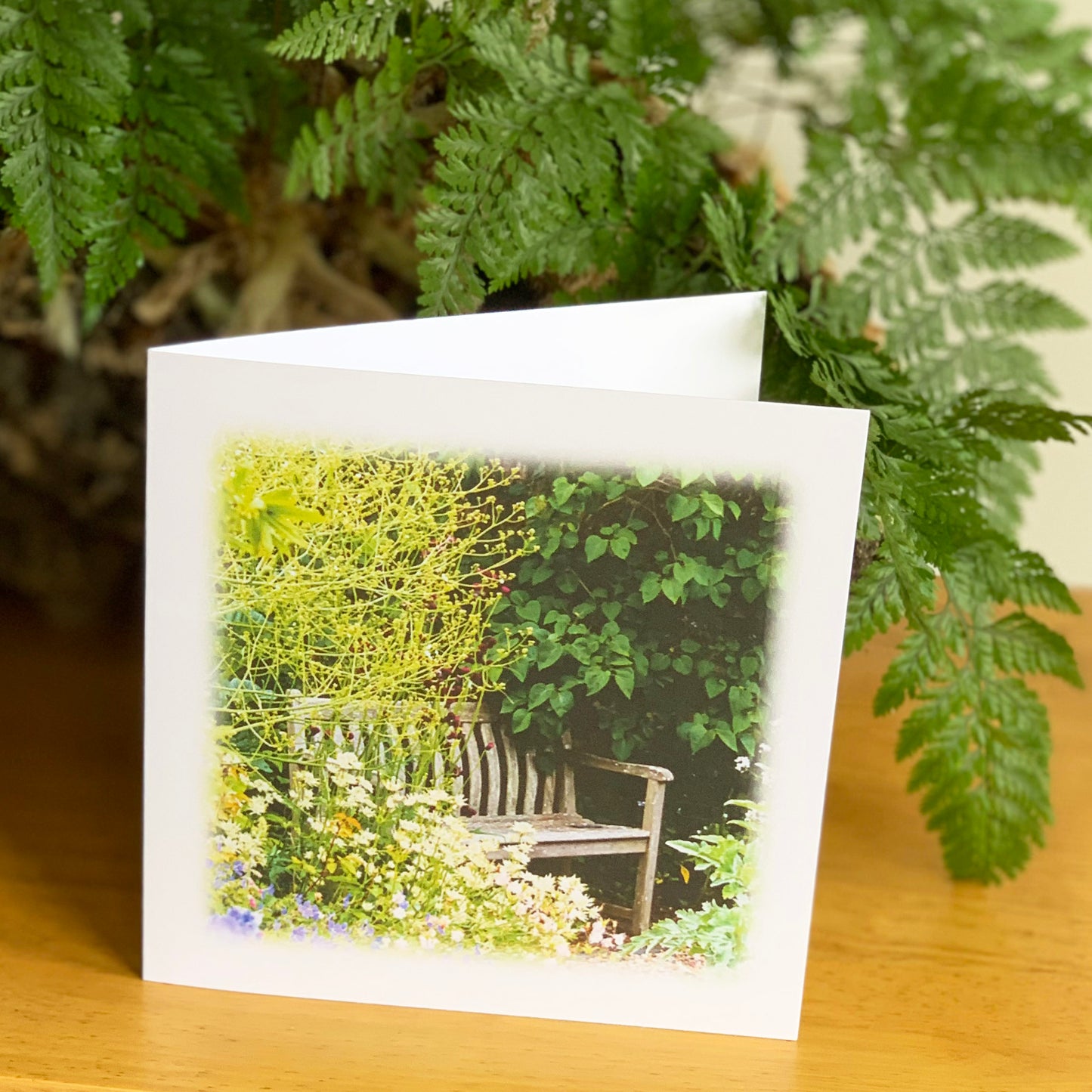 Garden Abundance - Blissful Bench DSA0394