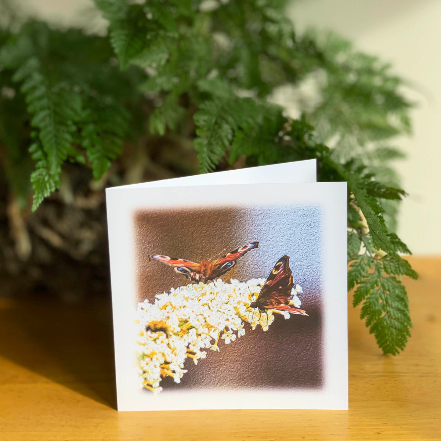 Butterflies 1st DSA8626-DA