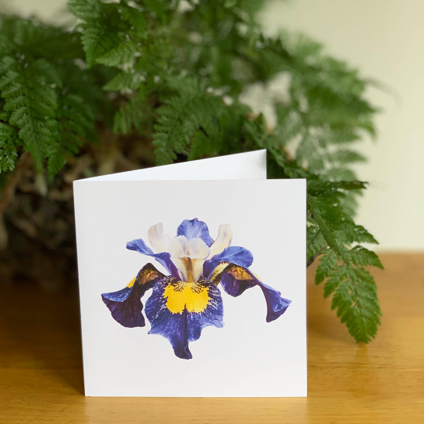 Purple Yellow Iris Cutout DSD1403
