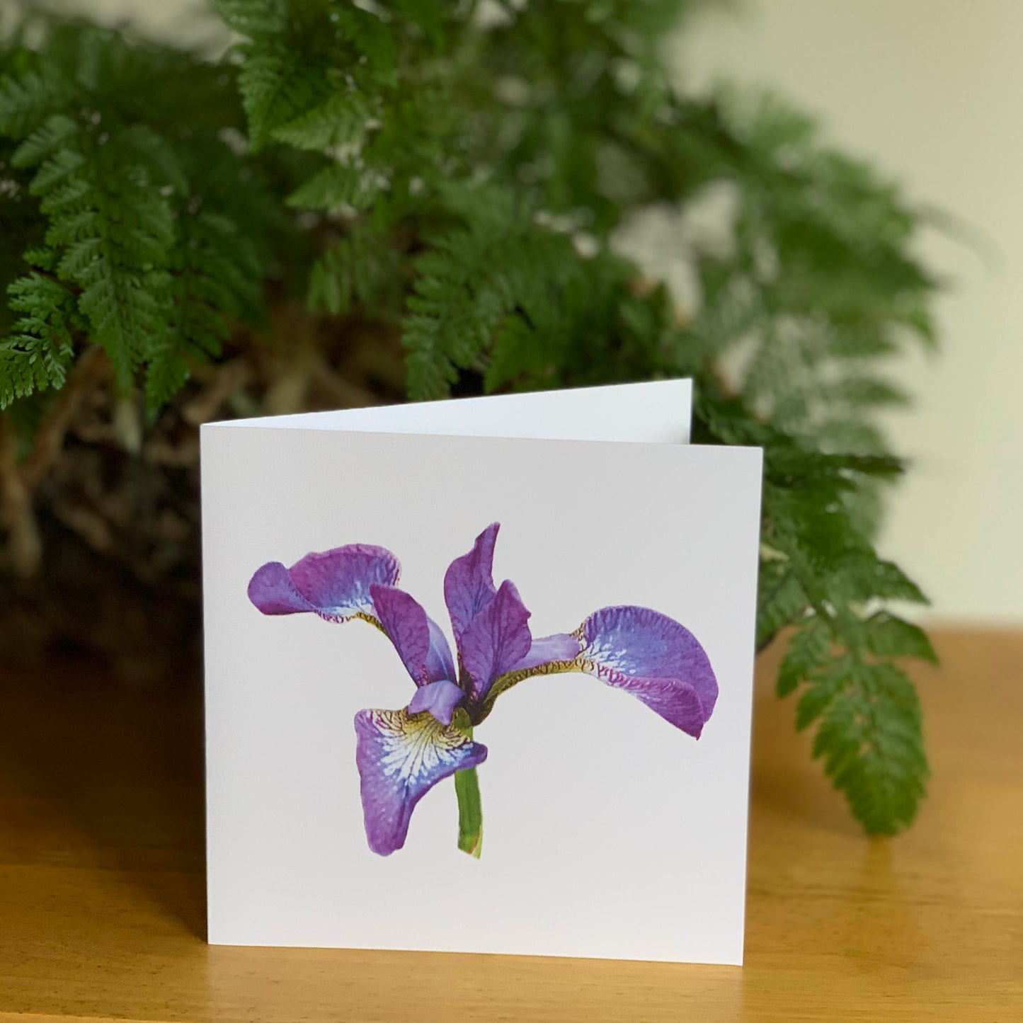 Purply Pink Iris Cutout DSD1460