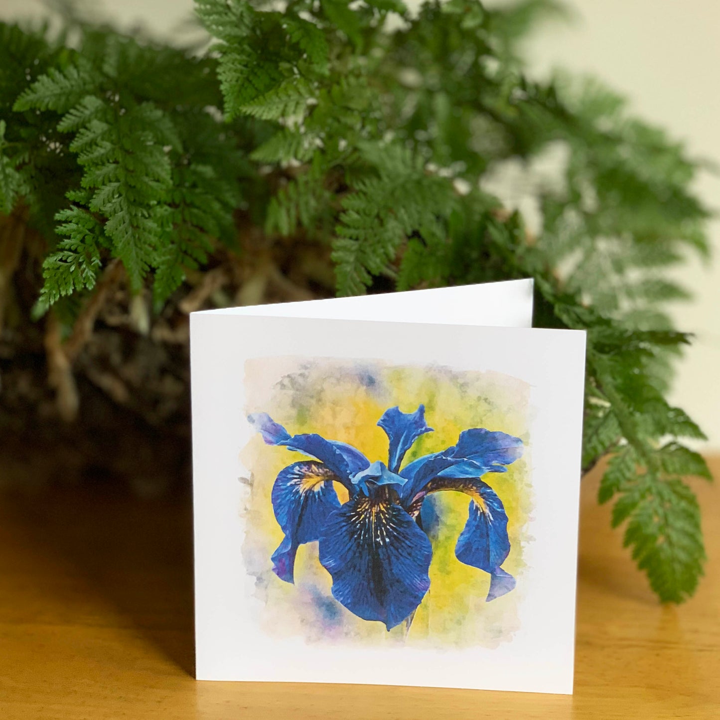 Watercolour Magic Deep Blue Iris DSA0843