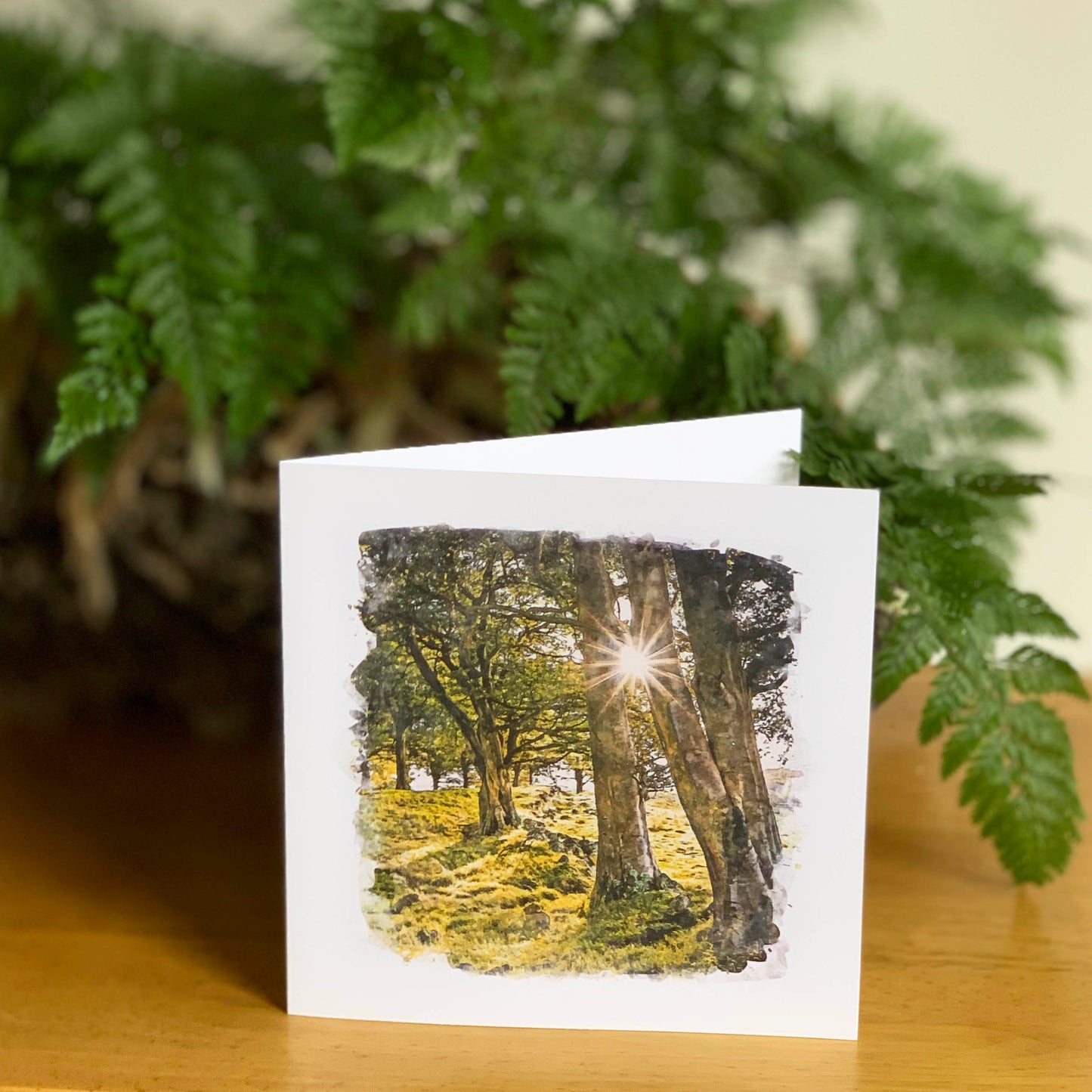 Watercolour Magic Forest Stroll 5th DSA1658