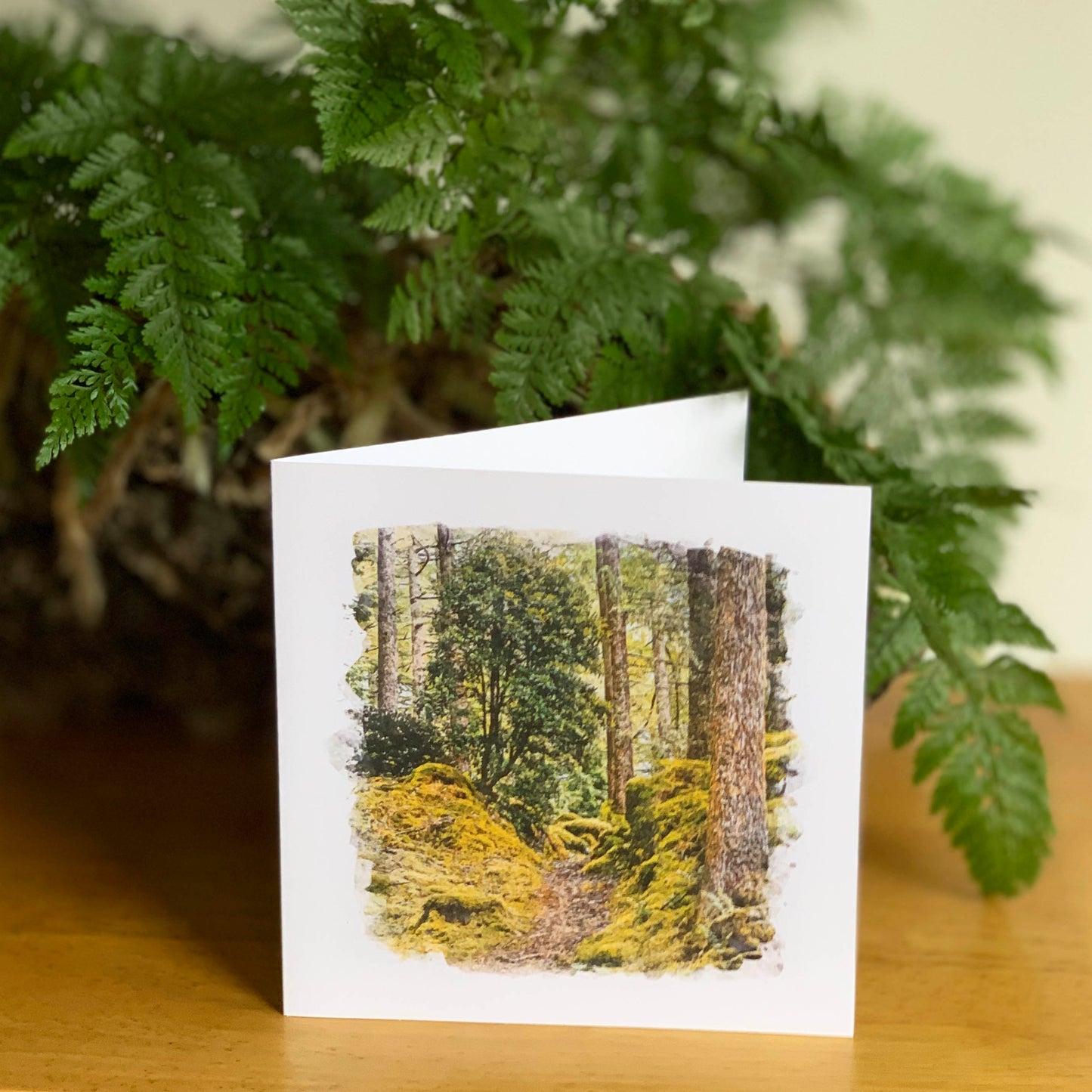 Watercolour Magic DSA0742 Forest Path 1st