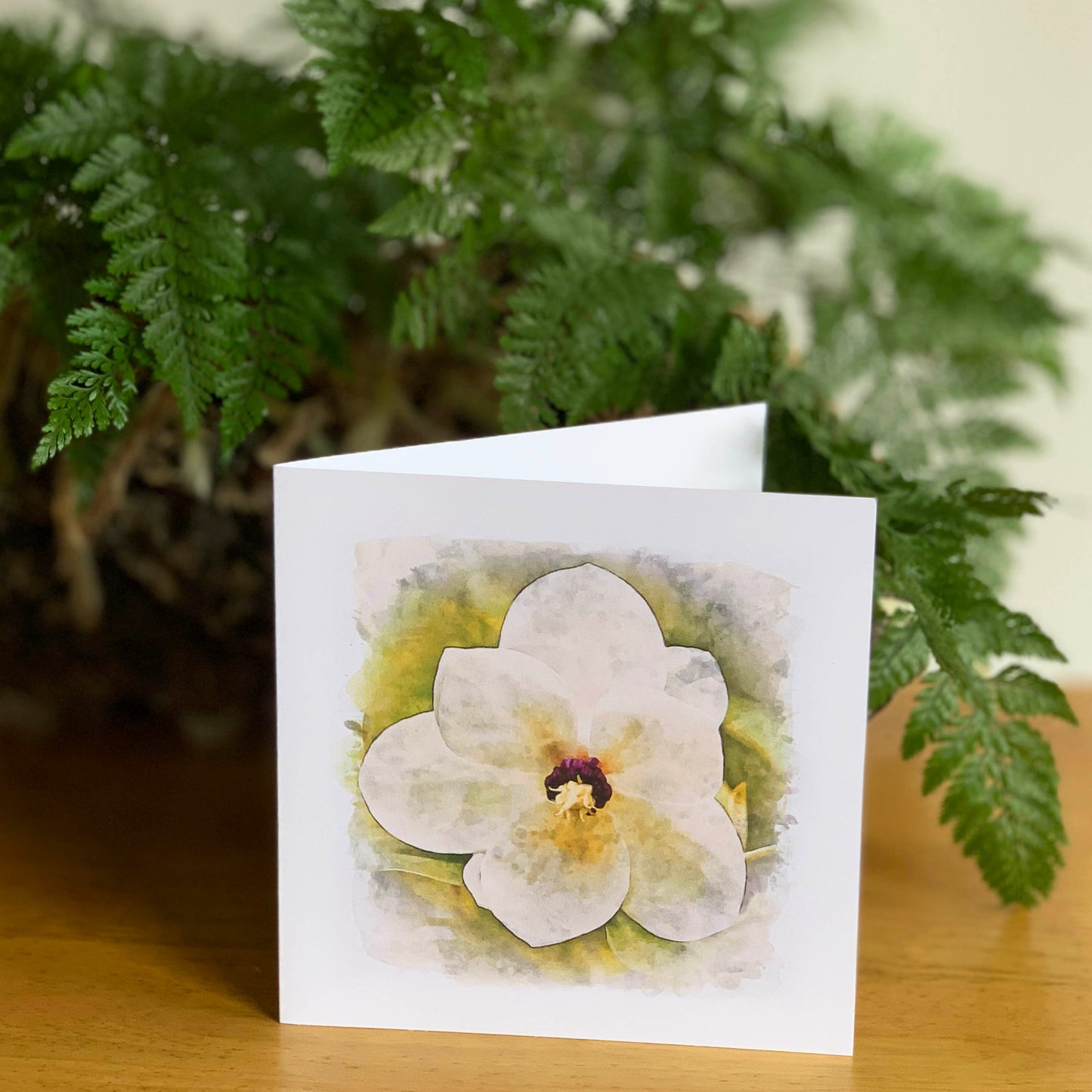 Watercolour Magic White Magnolia DSA0868