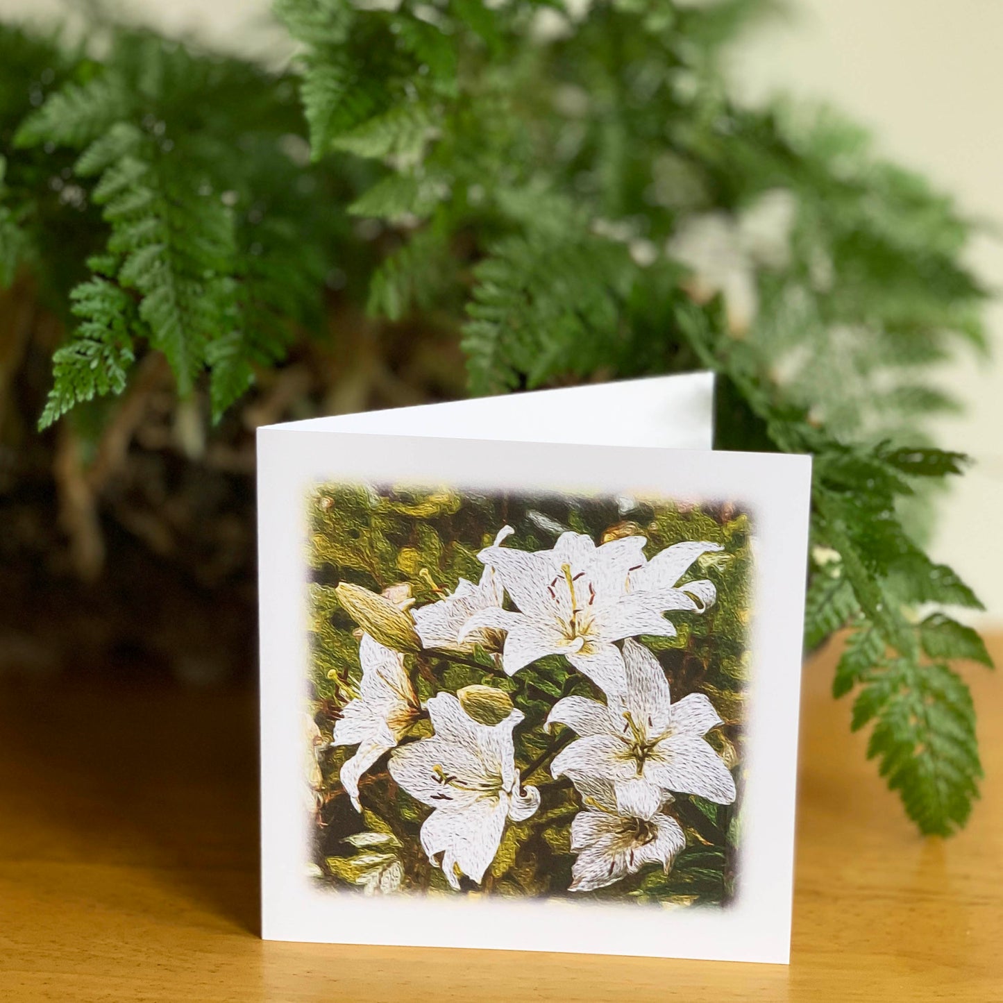 White Lilies DSA8156 -DA