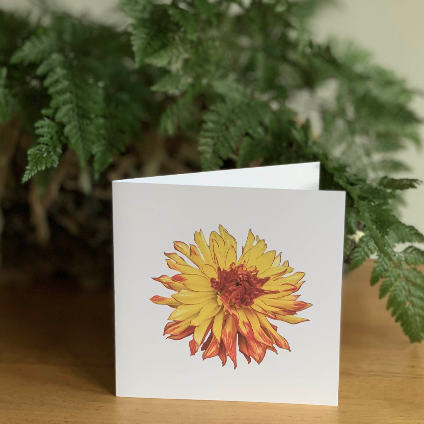 Yellow Orange Sunset Dahlia Cutout SAM 2233