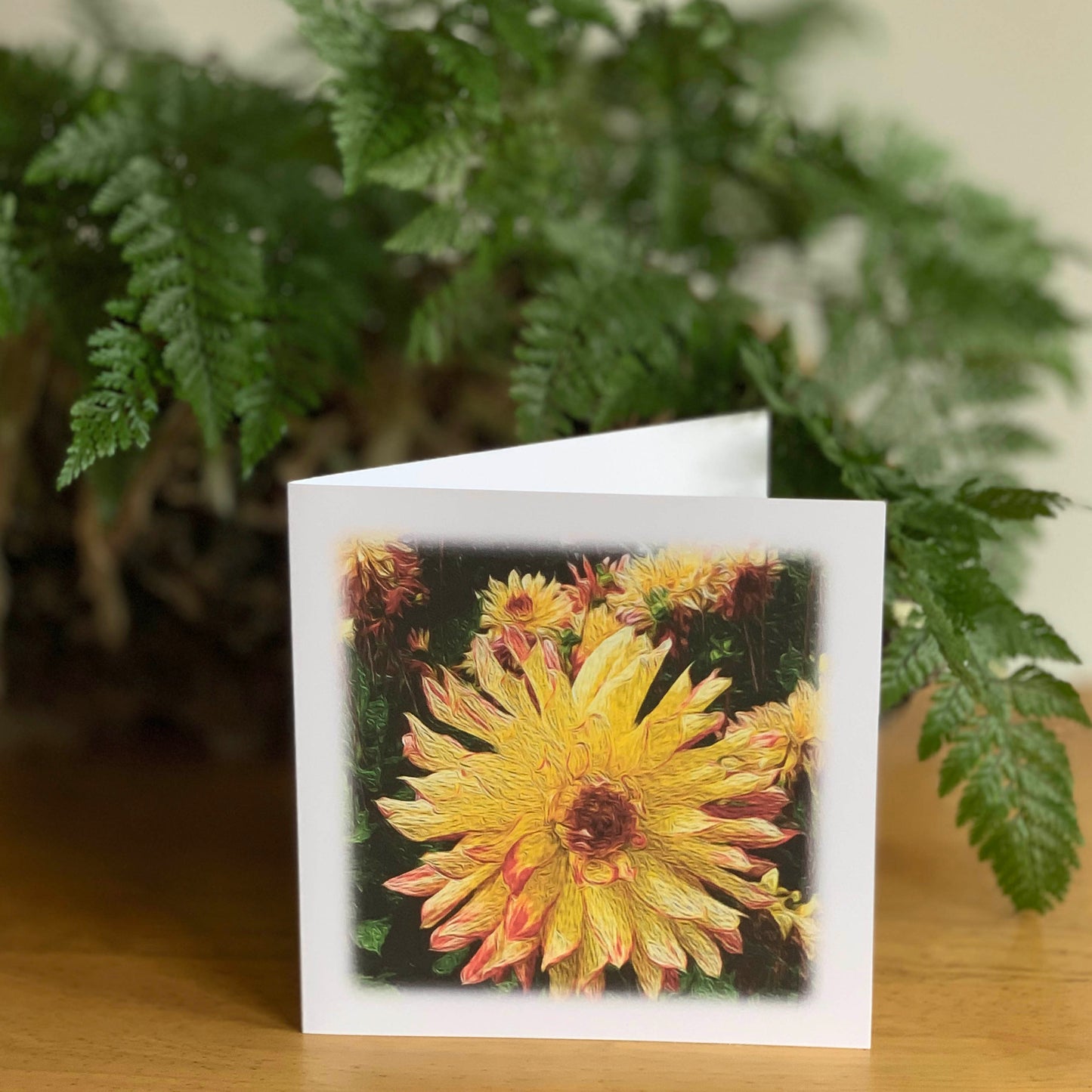 Yellow Orange Sunset Dahlia-DA SAM 2233