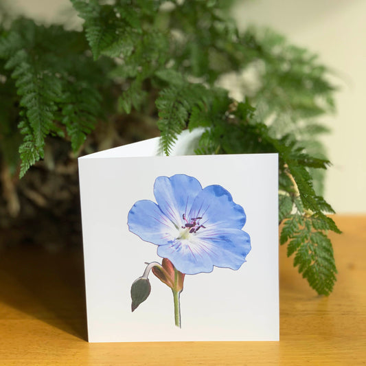 Blue Geranium Cutout DSD1107