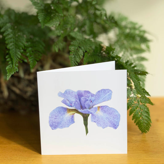 Blue and Purple Speckled Iris Cutout DSD1433