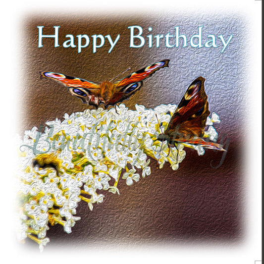 Butterflies 1st DSA8626-DA Happy Birthday