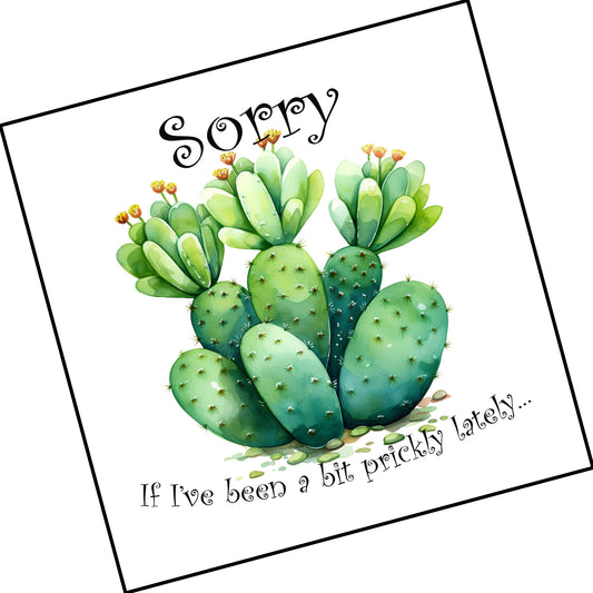 Cactus - Sorry if I've been a bit prickly lately...