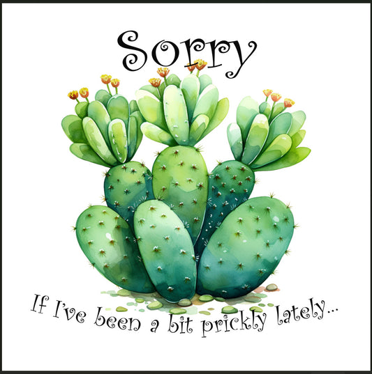 Cactus - Sorry if I've been a bit prickly lately...