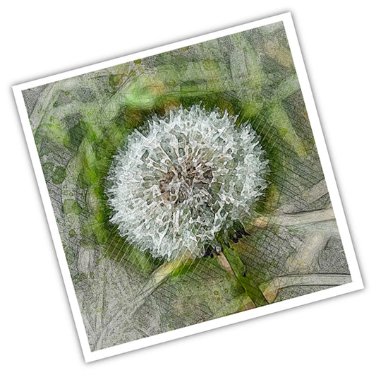 Making a Wish Dandelion DSD2646 PB-LA