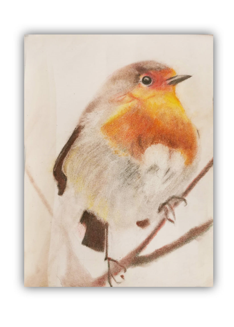 Robin 1st by Linda Vincent (with riverside birdsong)