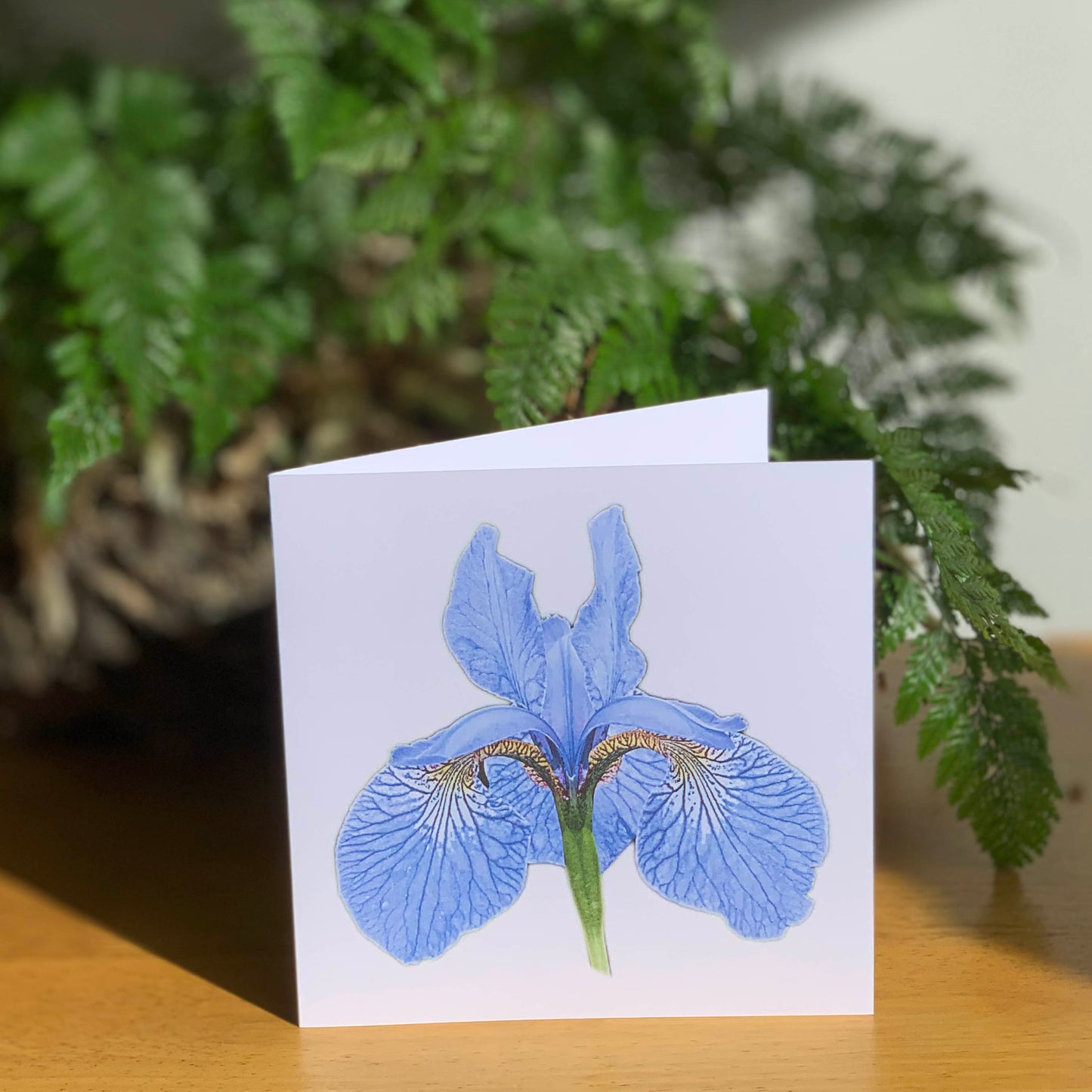 Pale Blue Iris Cutout DSD1461