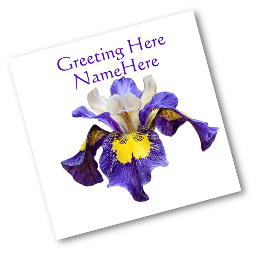 Purple Yellow Iris Cutout DSD1403 Personalised Card