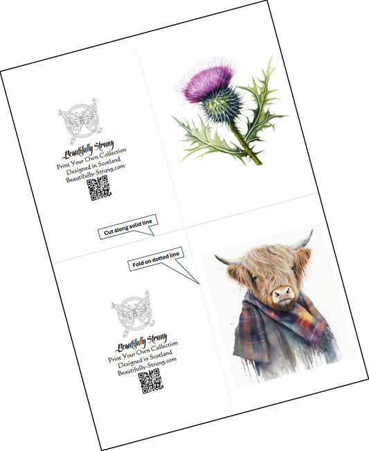 Scottish Thistle and Highland Cow 1st DOWNLOAD CARD