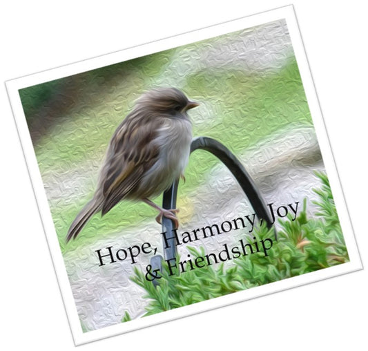 A Sparrow - for Hope, Harmony, Joy & Friendship