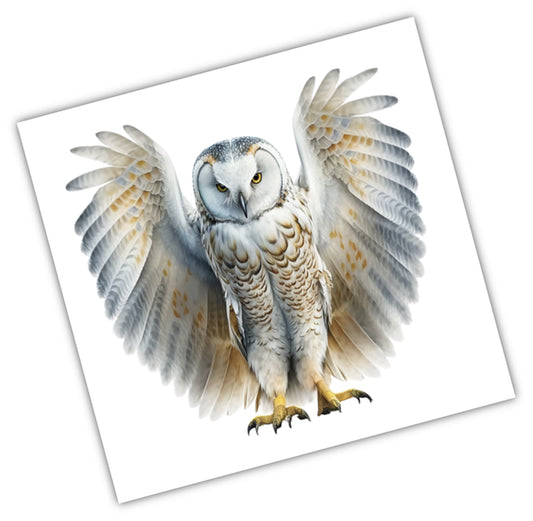 White Owl Messenger Juniwa